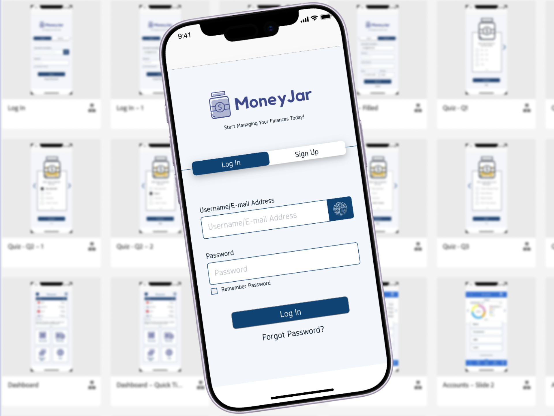 Project demo preview